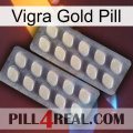 Vigra Gold Pill 07